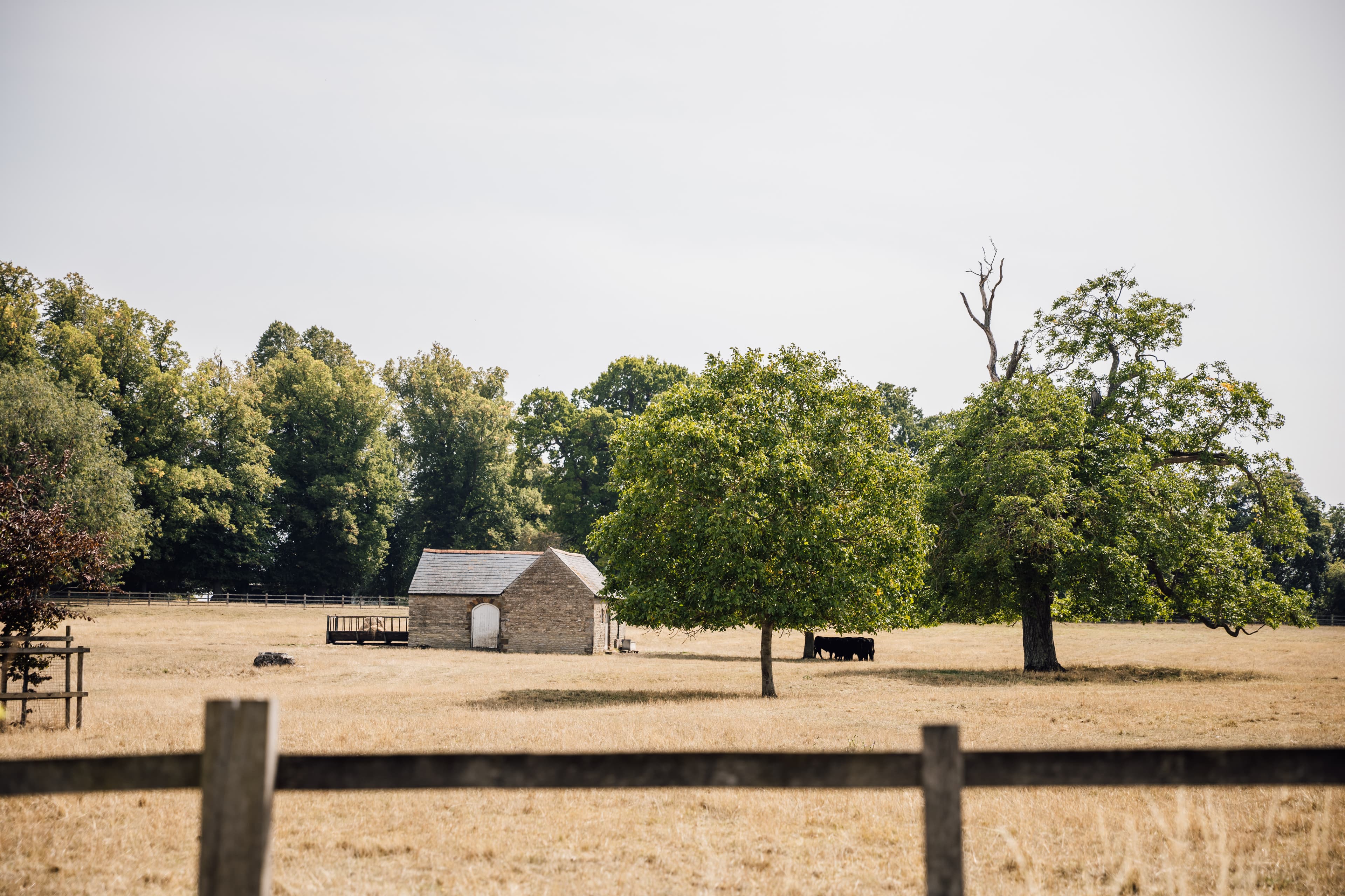 Chiropractor consultation at Wisdom Chiropractic